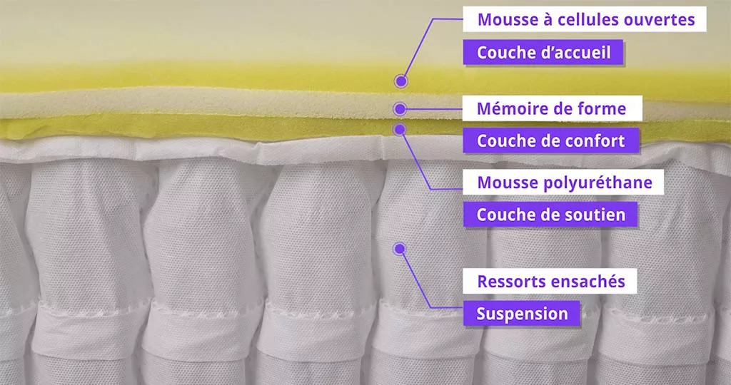 composition emma hybride 2